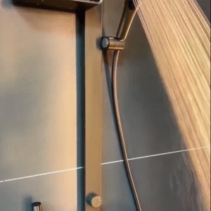 Thermostatic Shower