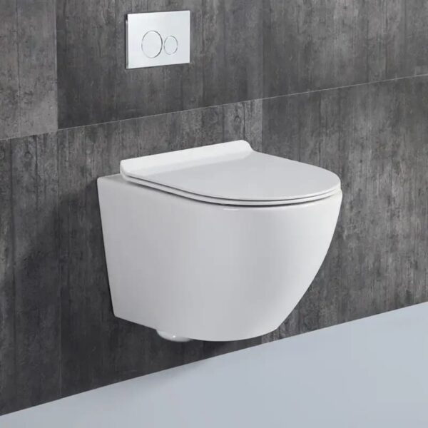 Siphonic Concealed WC