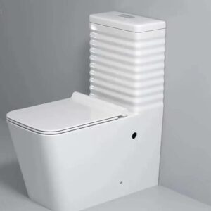 Siphonic Ramp WC