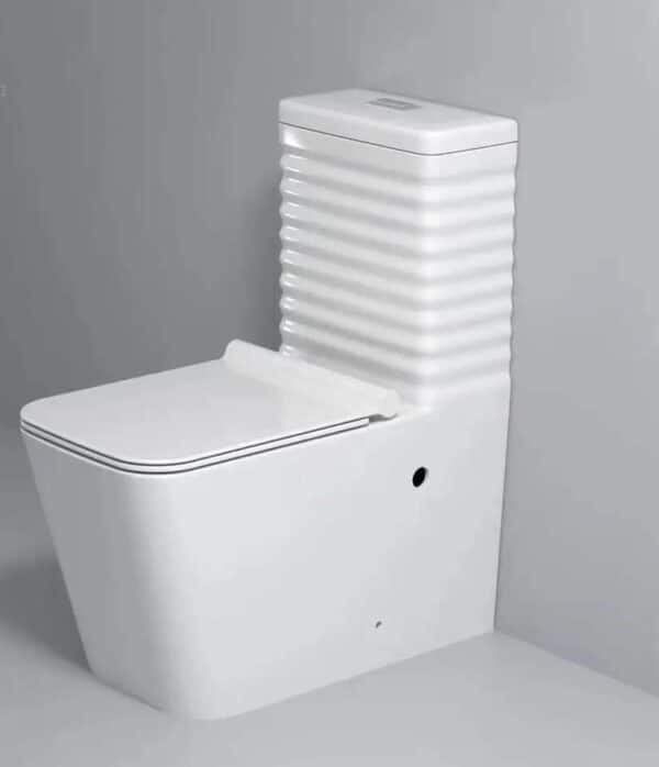 Siphonic Ramp WC