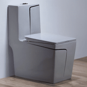 Siphonic Water Closet (Gray with Black Line)