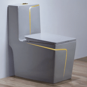 Siphonic Water Closet (Gray with Gold Line)